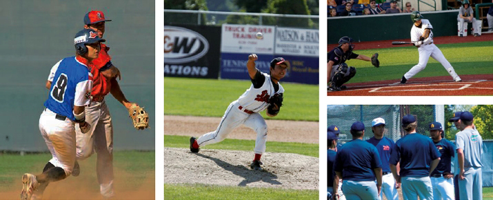 海外野球の細分化されたリーグ組織