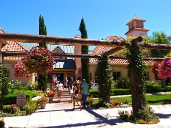 【英語学校】California School of English (CSE)