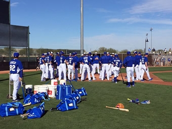 【現場視察】メジャーリーグ(MLB)キャンプ見学