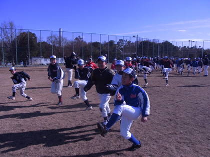 baseball-com-368842