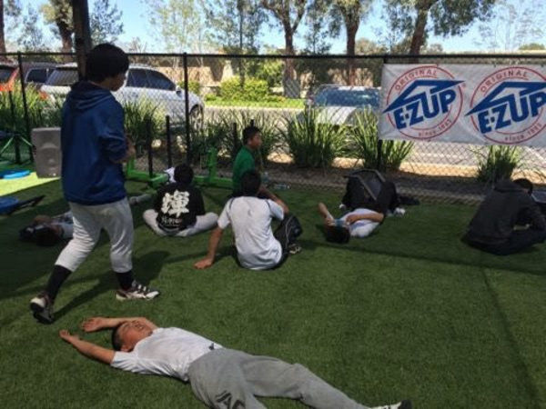 large_17671228_10158390538185433_660528920_n