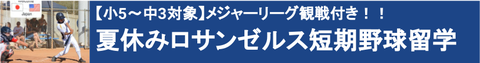19夏LAバナー