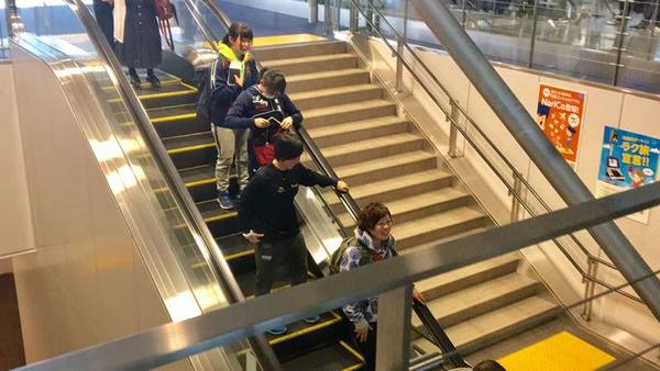 large_16406774_383534308672452_2382769391873115088_n