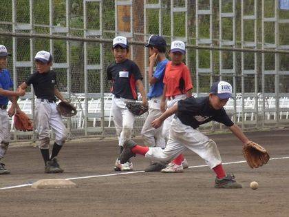 baseball-com-338419