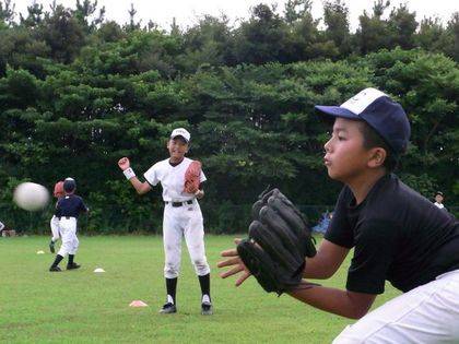 baseball-com-256846